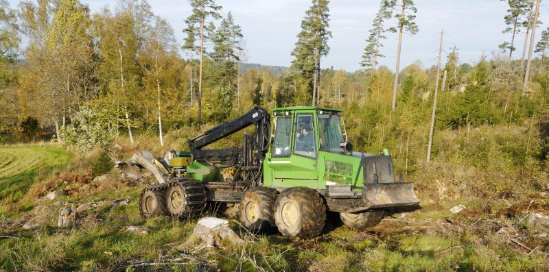 Forestry Clearing in Atlanta, GA