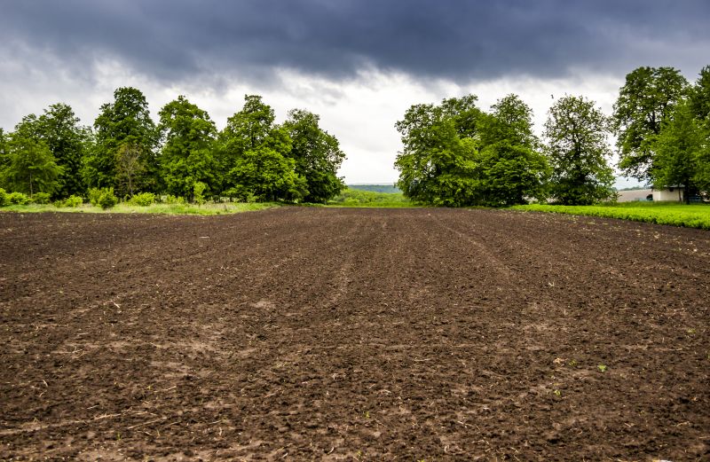 Ground Clearing in Houston, TX