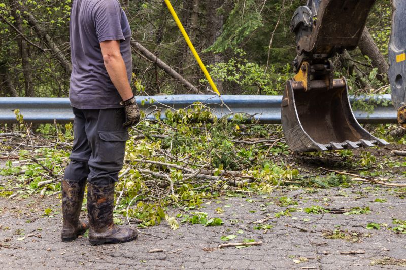 Site Clearing Service in Houston, TX