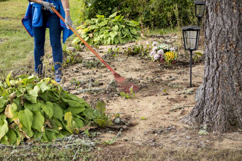 Site Preparation Service in Marietta, GA